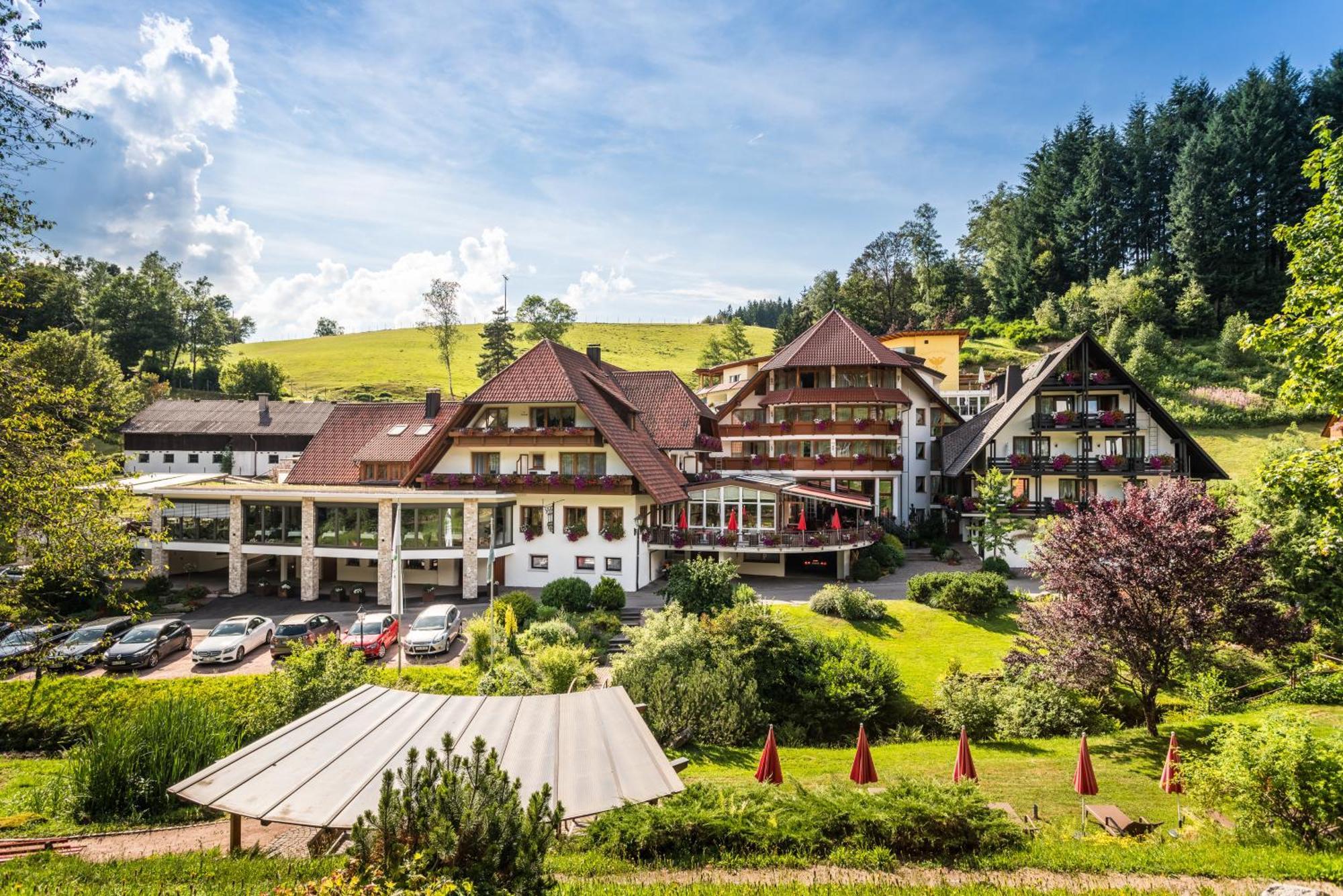 Naturparkhotel Adler Wolfach Luaran gambar