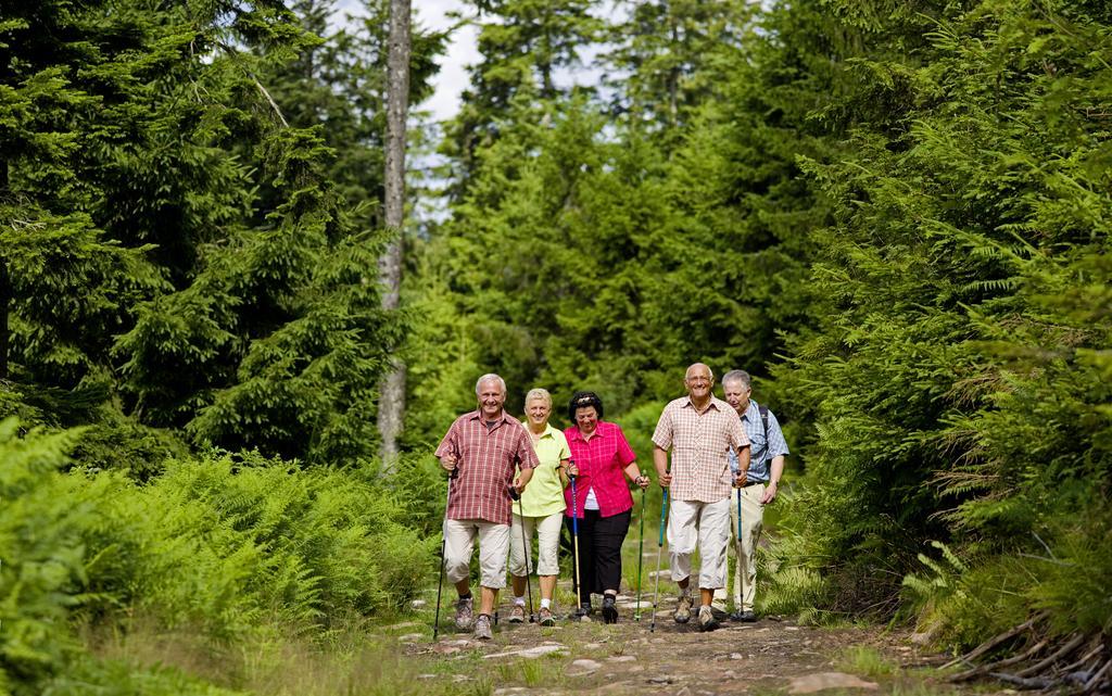 Naturparkhotel Adler Wolfach Luaran gambar