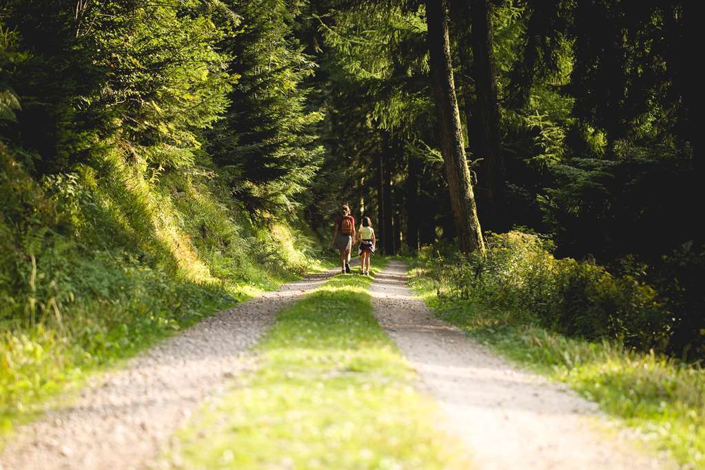 Naturparkhotel Adler Wolfach Luaran gambar