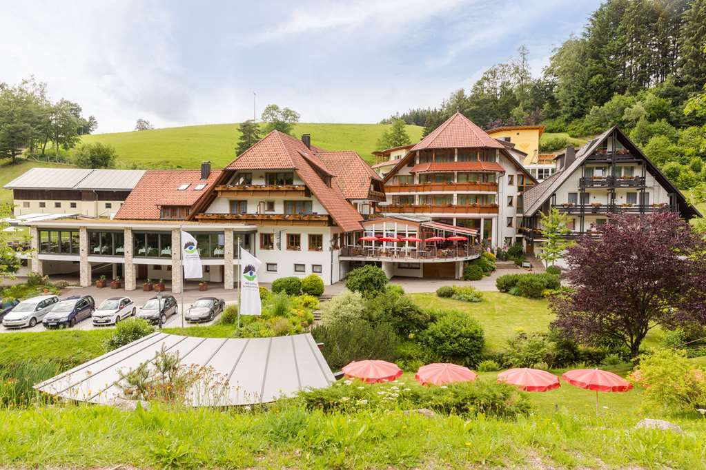 Naturparkhotel Adler Wolfach Luaran gambar