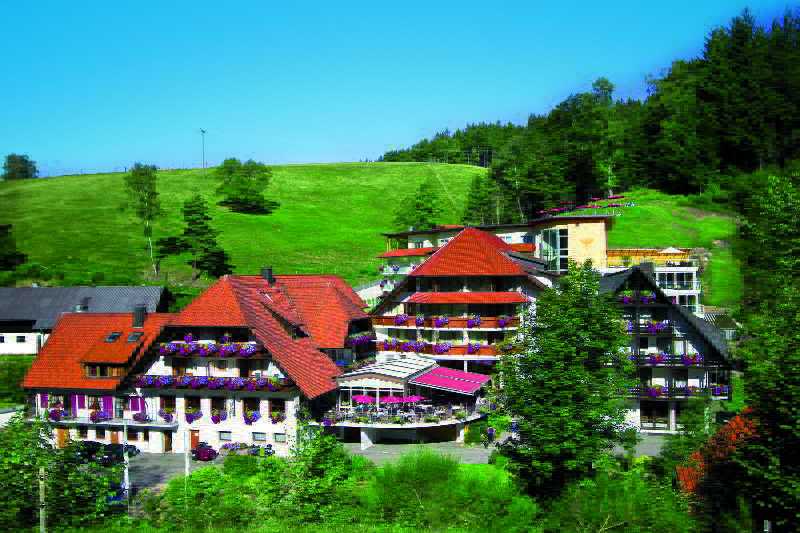 Naturparkhotel Adler Wolfach Luaran gambar